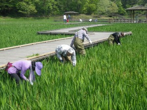 第5回森づくり活動